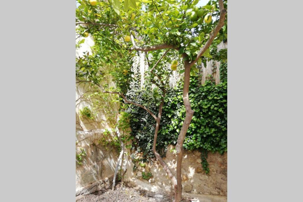 Cas Potecari Villa Porreres Exterior foto